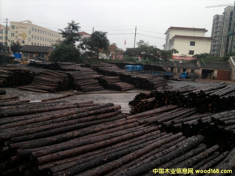 ���~��ԭľ