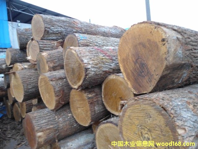 ���м�(j��)����ԭľ