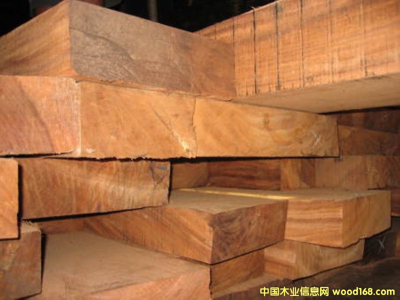 �߼��Ҿ���ľ Zenisero