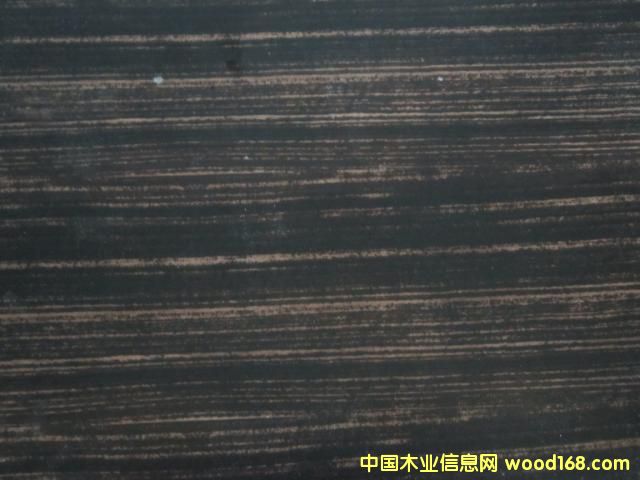 ����ӡȾ����