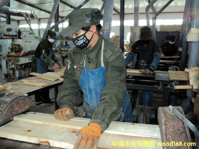 ��(sh��)ľ��(f��)�ϵذ����ذ�о�l