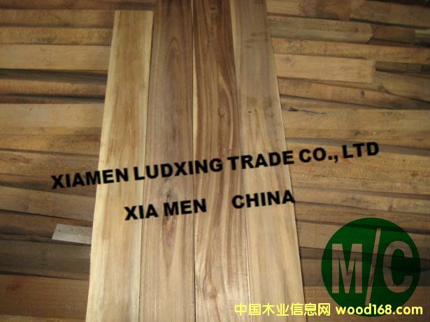 ��˼ľ�������˼ľ�ذ����ϣ�acacia5