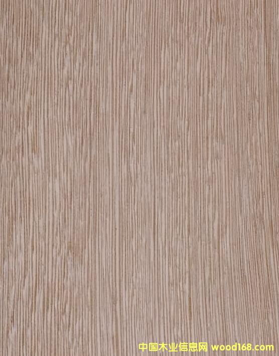 ��ľB��Ԕ��(x��)��B