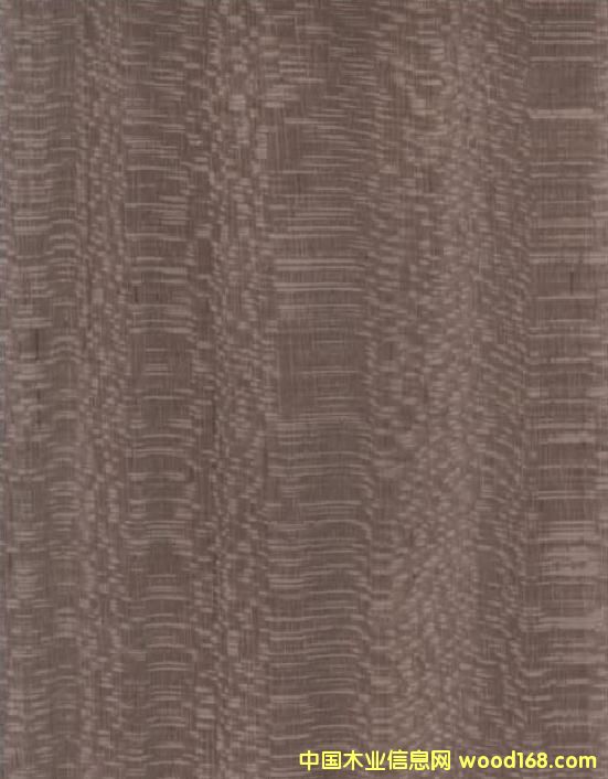 �{�~Ƥ��Ԕ��(x��)��B