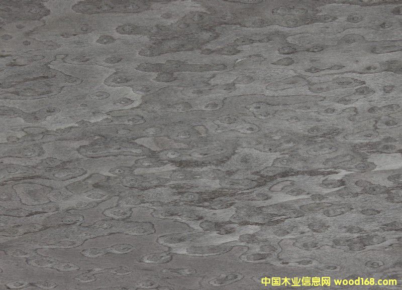 ��؈�۵�Ԕ��(x��)��B