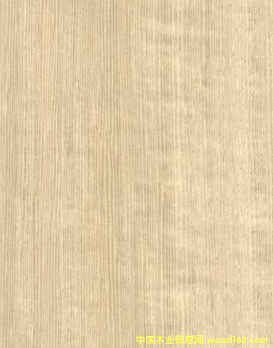 ��ľA��Ԕ��(x��)��B