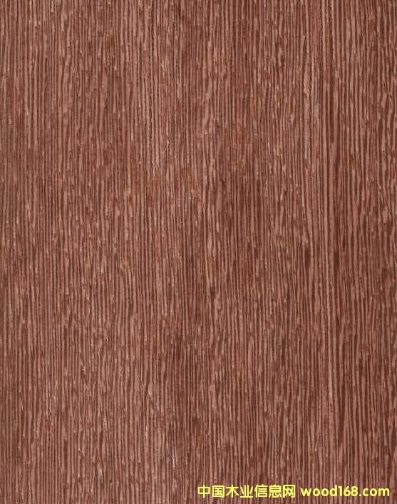 ��ľC��Ԕ��(x��)��B