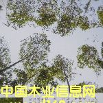 ���B(t��i)���Ԕ����B