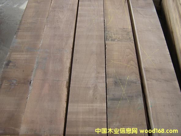 �����ں���8