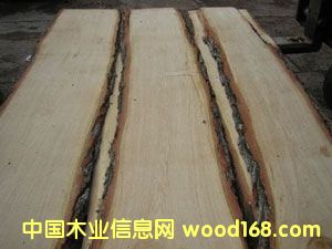 �����ĵ�Ԕ����B