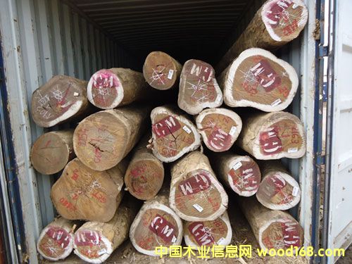 ���ބ�����t̴��Ԕ����B