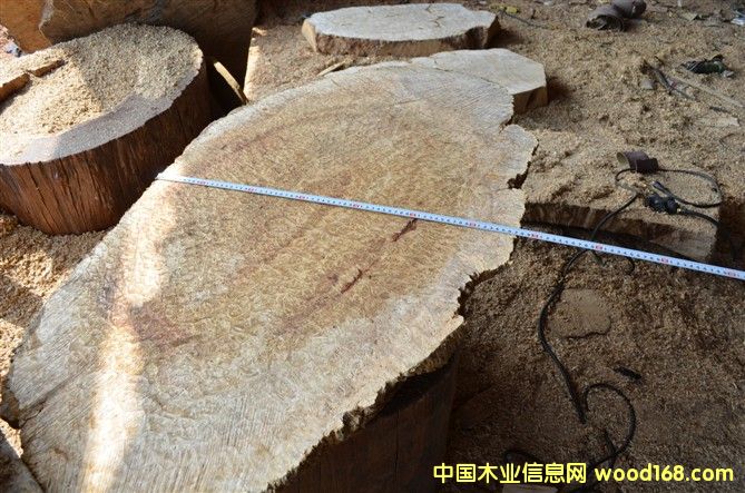 ��z骼Ҿ����2��Ԕ����B