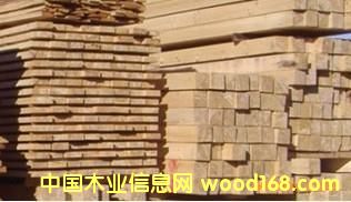 白松方材的詳細(xì)介紹