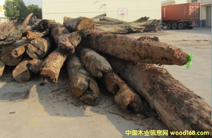 ��z�ľꎳ�ľ��Ԕ��(x��)��B