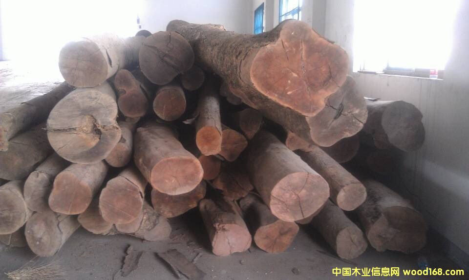 ����骽�z骵�Ԕ��(x��)��B