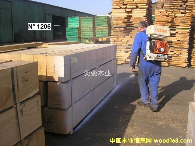 �W�� ������ľ��Ԕ����B