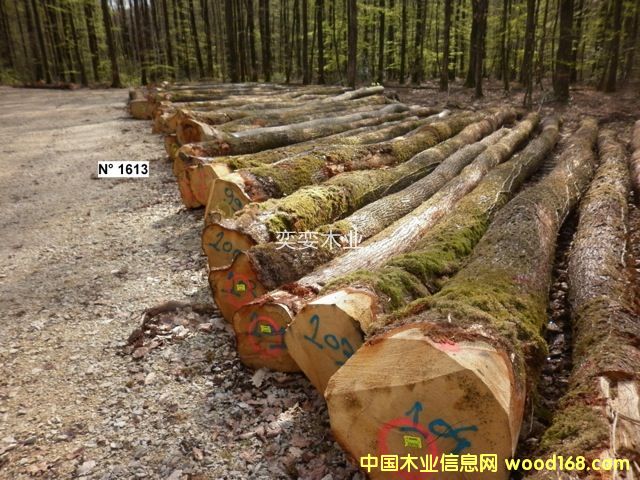 �W�� ������ľ��Ԕ����B