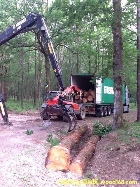 �W�� ������ľ��Ԕ����B