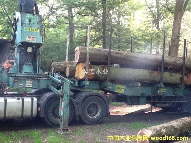 �W�� ������ľ��Ԕ����B