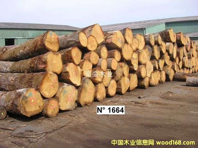 �W�� ������ľ��Ԕ����B