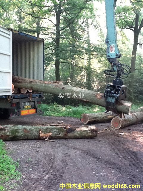 �W�� ������ľ��Ԕ����B