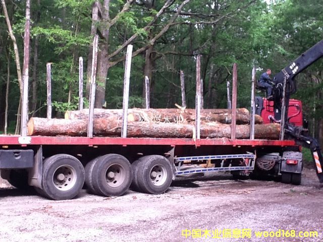 �W�� ������ľ��Ԕ����B