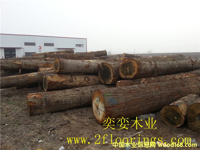 ������ľ