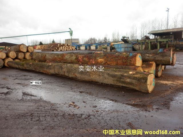 �W�� ������ľ��Ԕ����B