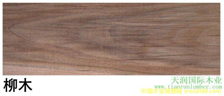 ��ľ��Ԕ��(x��)��B