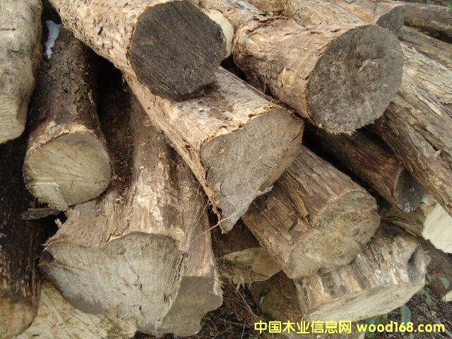 �S̴ľ��Ԕ����B