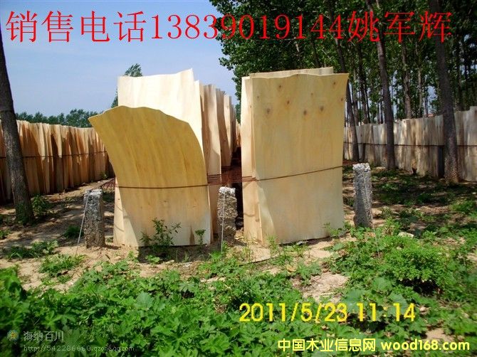 ��ľ�ΰ��Ԕ����B