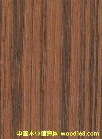 �|ݸ���l(f��)ֱ�y��֦ľƤ �Ҿ��N�� ������֦ľƤ