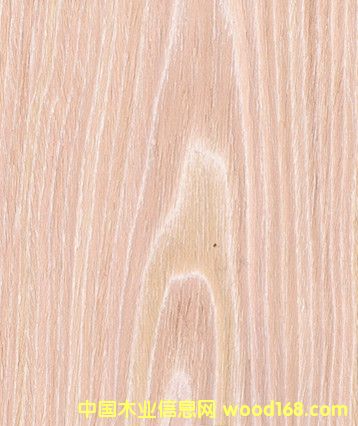 ˮϴɽ�y��ľ ˮϴ��ľƤ�Ӱ� ľƤ�S�ҵ�Ԕ��(x��)��B