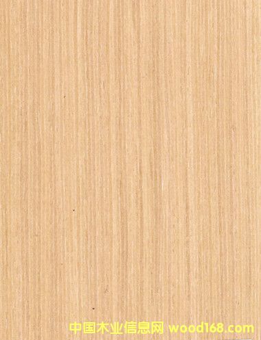 ˮϴ��ľƤ ���yˮϴ��ľ �¿�Ƽ�ľƤ ľƤ�S��