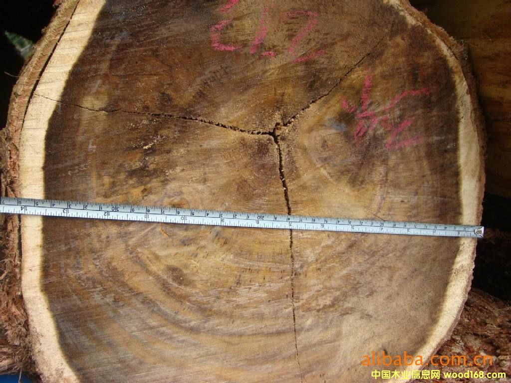 �R��������˼ľԭľ��Ԕ��(x��)��B