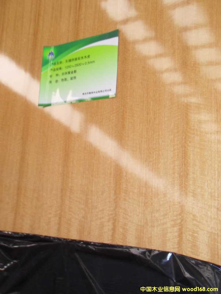 19�������h(hu��n)��UVľ�����Ԕ��(x��)��B