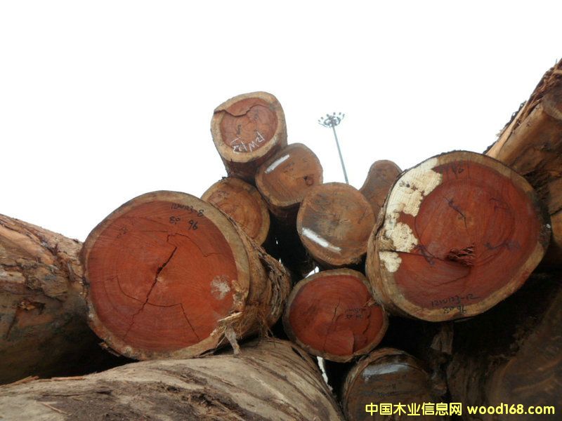 �t�����Ԕ��(x��)��B