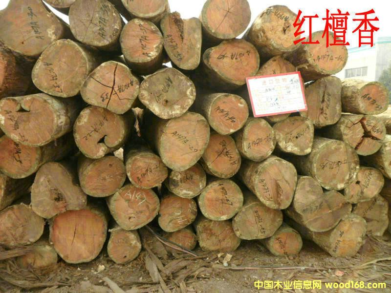 �t̴���Ԕ��(x��)��B