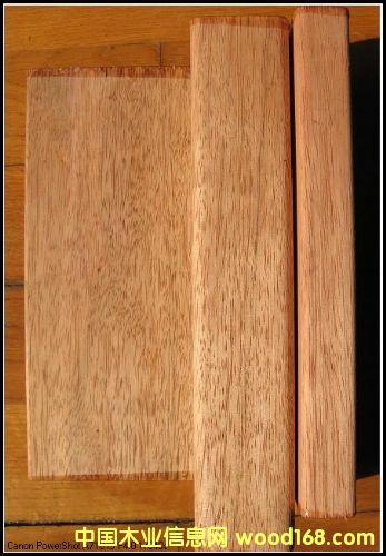 ����ľ�����Xһ�����|(zh��)����ô�����Ϻ����h(yu��n)ľ�I(y��)��Ԕ��(x��)��B