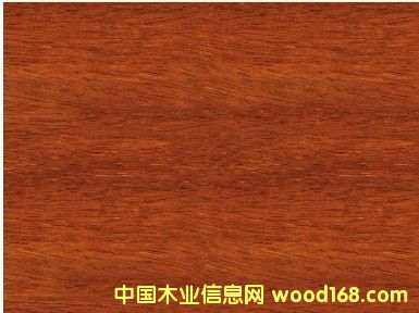 ����(y��ng)�y��ľ������y��ľ����(b��o)�r(ji��)���Ϻ��S���y��ľֱ�N��Ԕ��(x��)��B