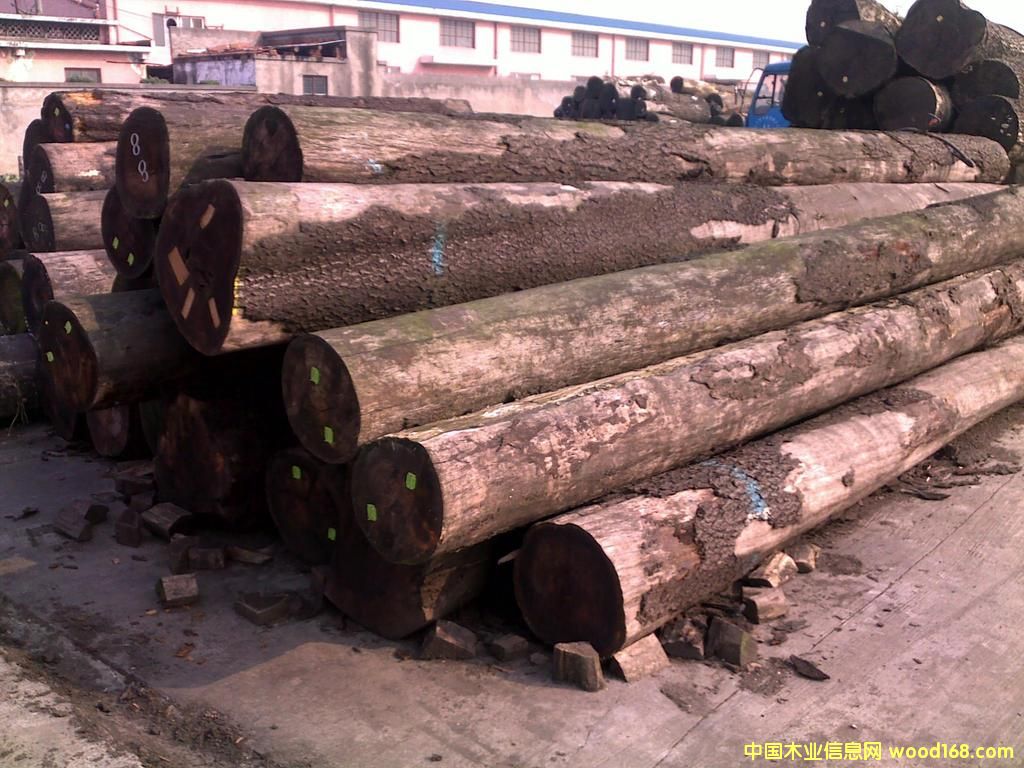 �؎X����ľԭľ��Ԕ��(x��)��B