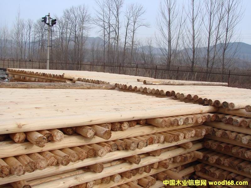 ɼľ�G���U��Ԕ����B