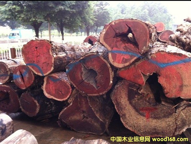 ΢���S̴��Ʒԭľ��Ԕ����B