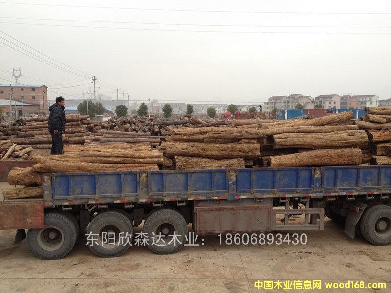 �Ϲ�̴(��̴����ľ,�|�Ǻ��S̴)130120-11