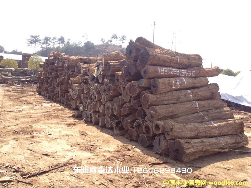 �Ϲ�̴(�|�Ǻ��S̴,��ľ,��̴)130226-8