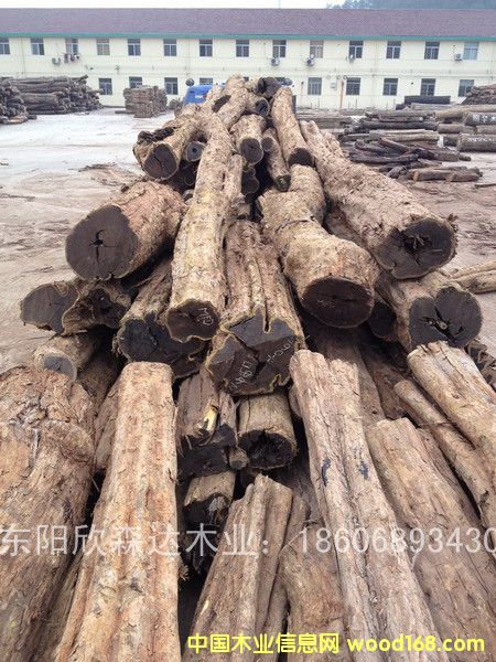 �Ϲ�̴(��̴����ľ,�|�Ǻ��S̴)130120-12