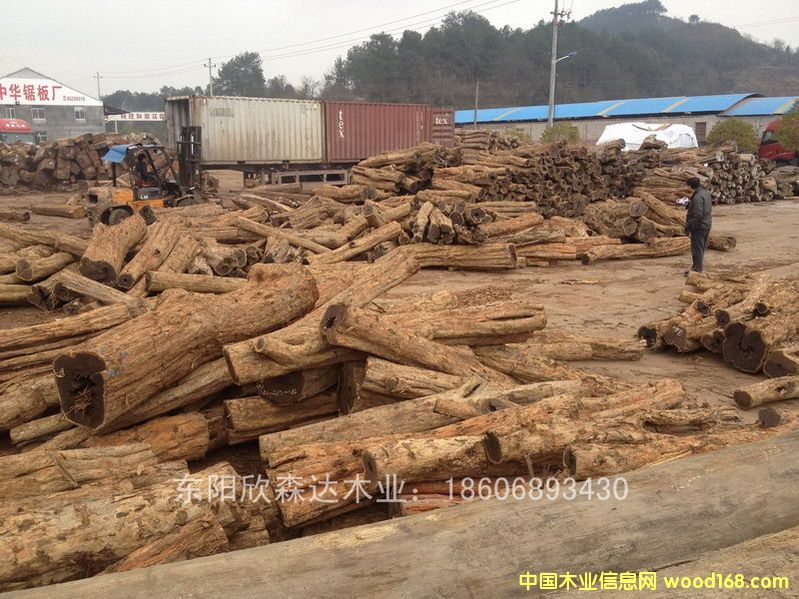 �Ϲ�̴(��̴����ľ,�|�Ǻ��S̴)130120-6