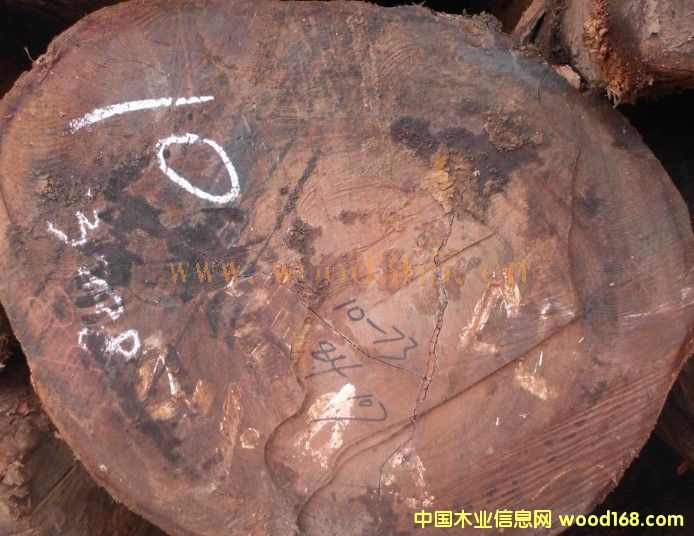 ��Ī�� ���� ���_�T��Ԕ��(x��)��B