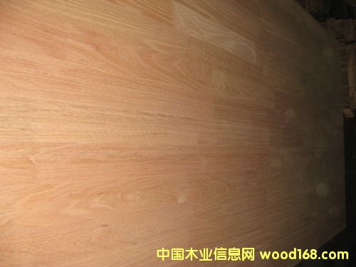 �t��ָ�Ӱ�