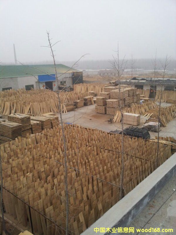 �M�ښW����������вĵذ�����Ԕ����B